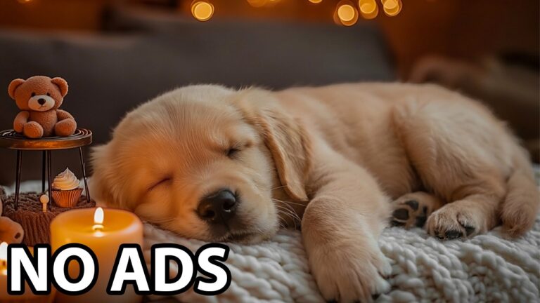 Sleep Music YouTube video thumbnail