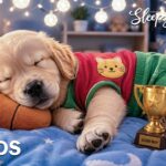 12 Hours Deep Sleep Music for Dogs 🐶⭐ Anti-Separation Anxiety Relief 🎵 Healing Dog Music 💤 No Ads