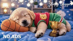 12 Hours Deep Sleep Music for Dogs 🐶⭐ Anti-Separation Anxiety Relief 🎵 Healing Dog Music 💤 No Ads