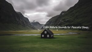 Calm Nature Sounds for Relaxation & Peaceful Sleep🌿 The Black House in the Green Valley