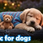 12 Hours of Dog Calming Music 🐕 Relaxing Music for Dogs & Healing Sounds for Dogs Deep Relaxation