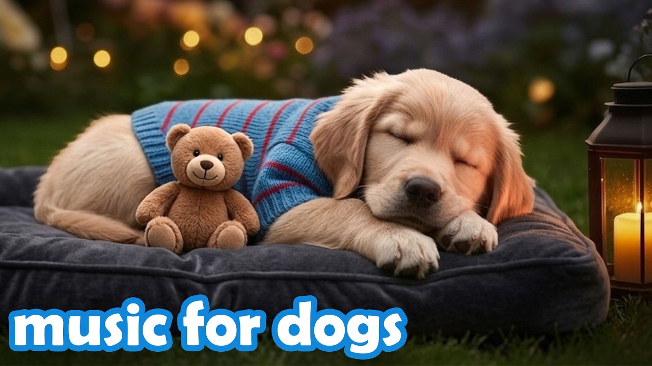 12 Hours of Dog Calming Music 🐕 Relaxing Music for Dogs & Healing Sounds for Dogs Deep Relaxation