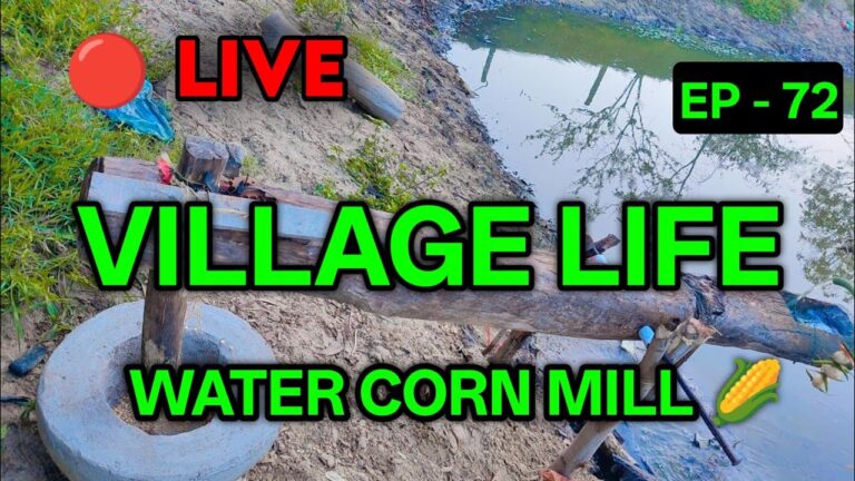 Nature Sounds YouTube video thumbnail