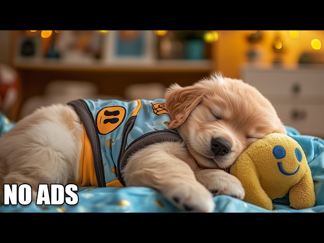 12 Hours Dog Sleep Music 🎼 Relax My Dog – Dog Soft Audio For Stress Relief And Peaceful Rest
