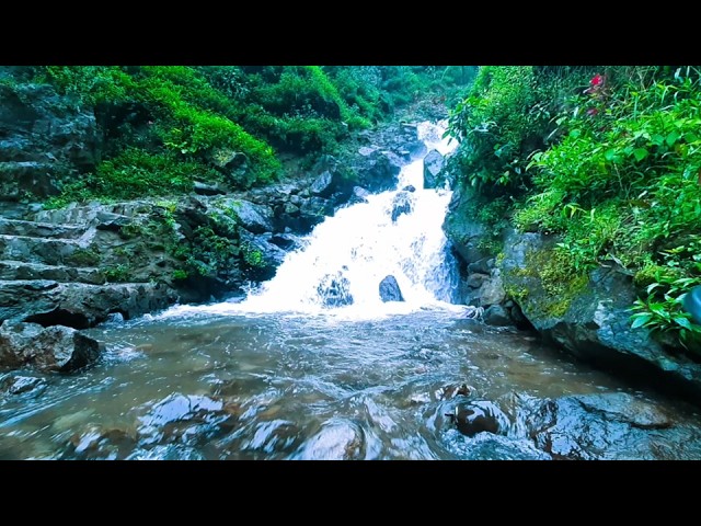 Hidden Jungle Waterfall 🌿 Relaxing Nature Sounds for Sleep, Study & Meditation