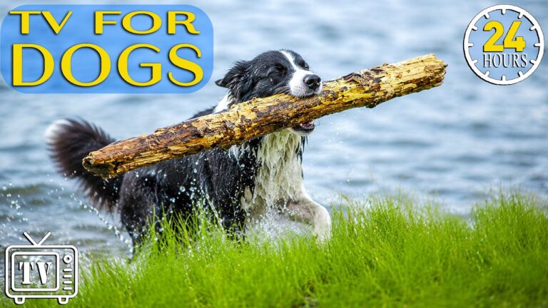 Relaxation Music YouTube video thumbnail