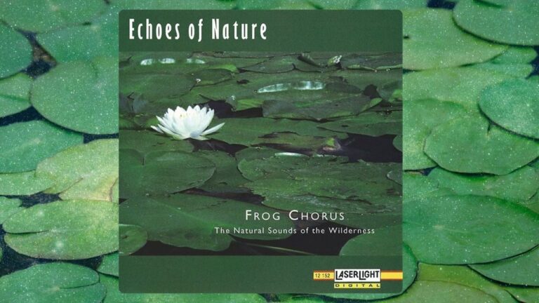 Nature Sounds YouTube video thumbnail