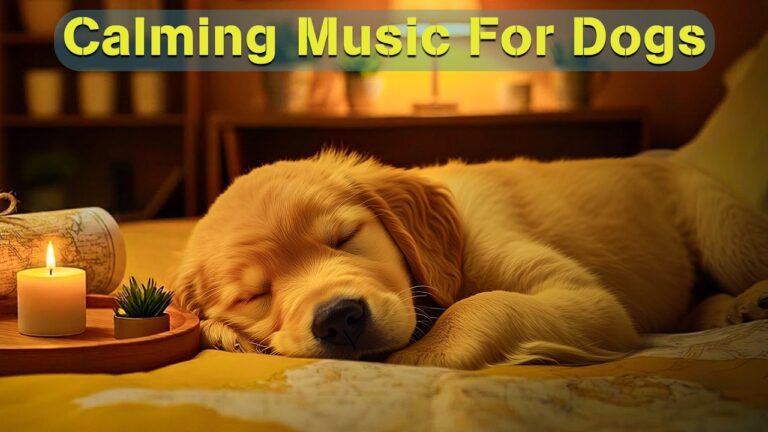 Relaxation Music YouTube video thumbnail