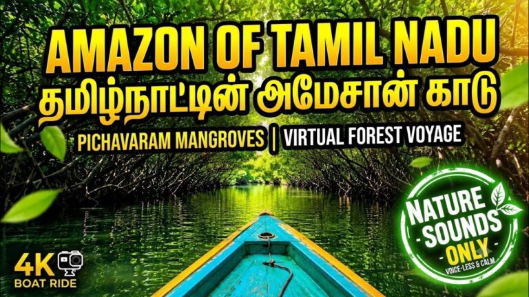 Nature Sounds YouTube video thumbnail
