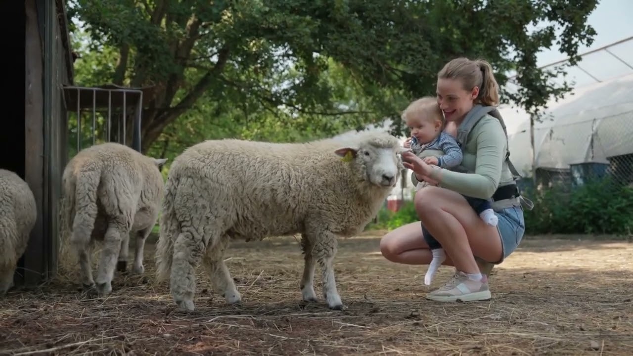 Calming Nature Sounds — Relaxing Farm Life, Countryside Garden and Gentle Animal Sounds