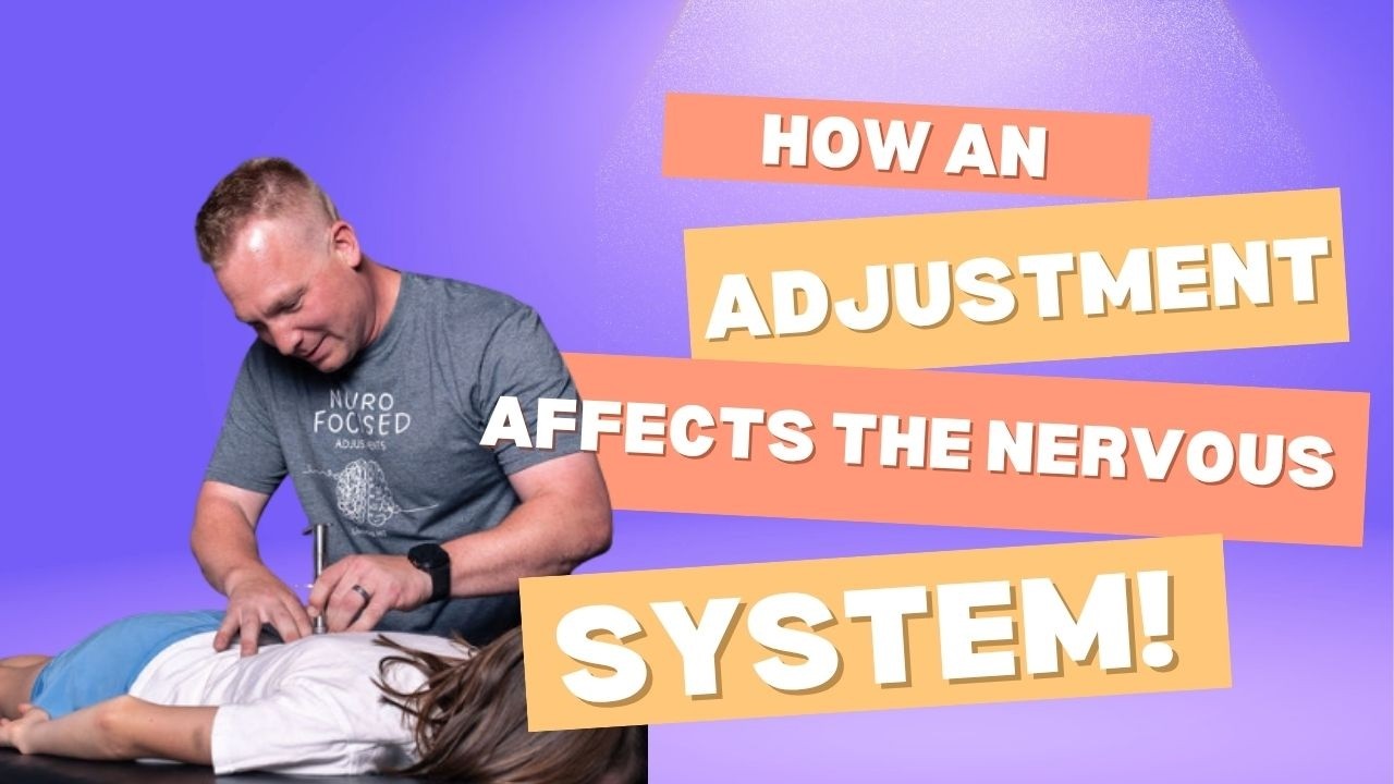 How A Chiropractic Adjustment Affects The Nervous System