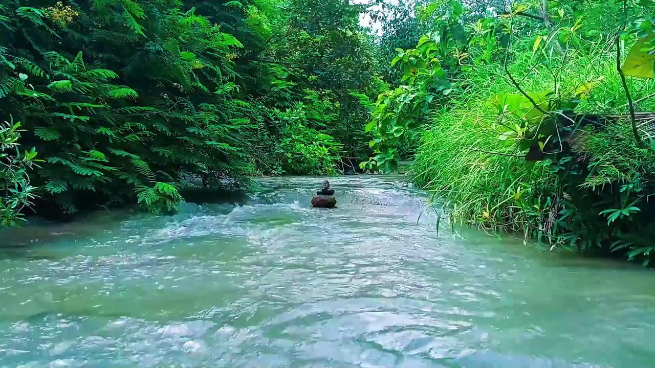 Healing Nature Sounds for Sleep – Soothing Running Water for Better Sleep