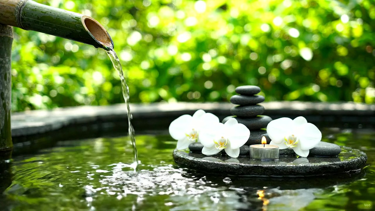 Meditation Music 🌿 Peaceful Piano Music with Clear Water Sounds in a Bamboo Garden for Night Calm