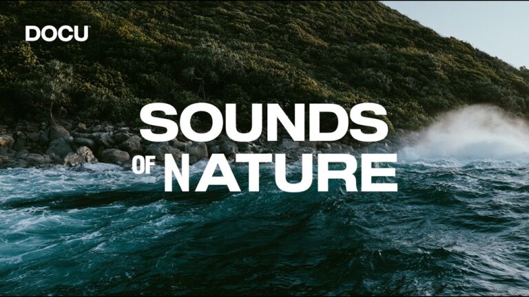 Nature Sounds YouTube video thumbnail