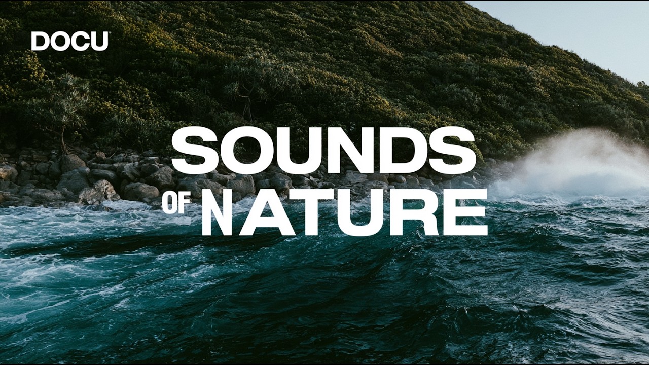NATURE DOCUMENTARY | Sounds of Nature (Relaxing Earth Soundscapes – Full Film) 🌿