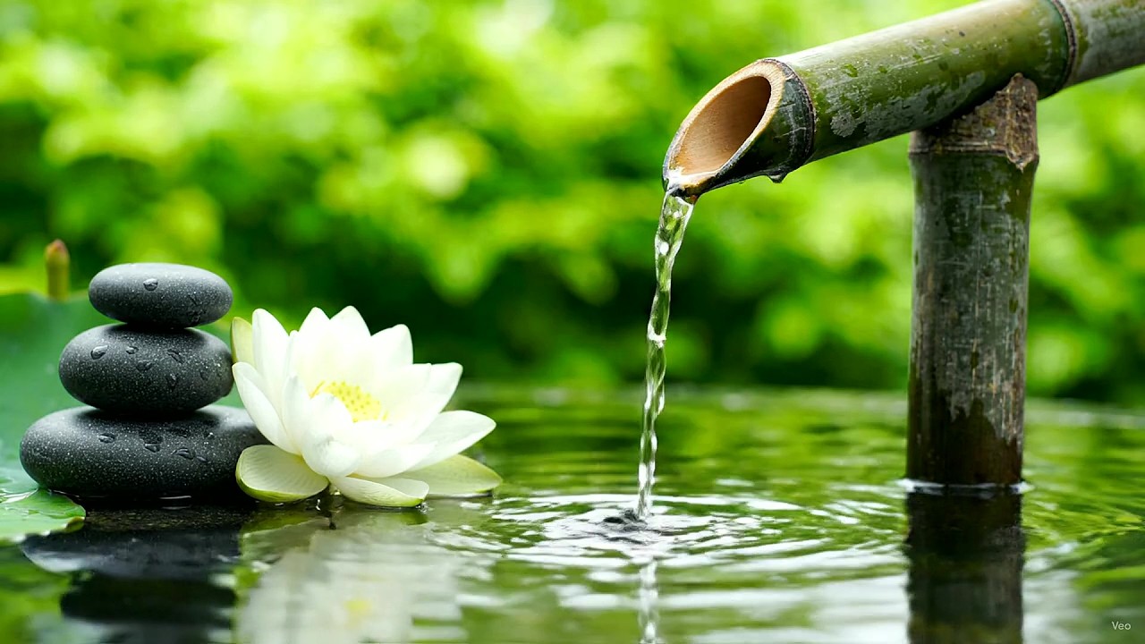 Quiet Study Music 🍃 Tea Garden Bamboo Fountain with Peaceful Piano Music and Gentle Water Sounds
