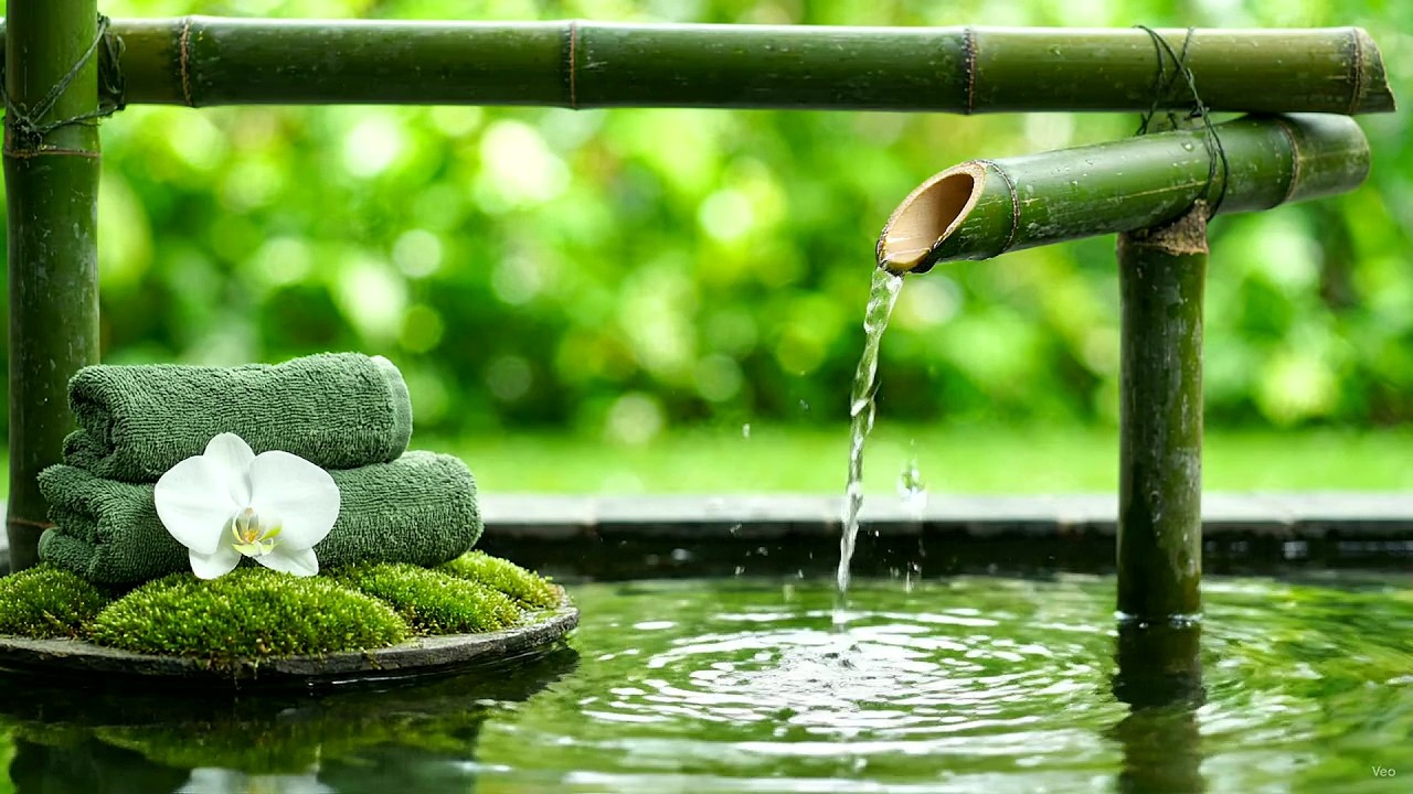 Quiet Study Music 🌙 Crystal Clear Piano with Natural Water Sounds in a Bamboo Garden for Deep Sleep