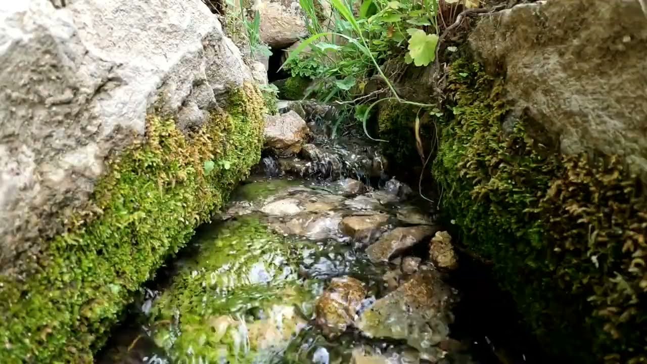 Relaxing Spa Music for Meditation, Relaxation, Stress Relief, Sleep Music