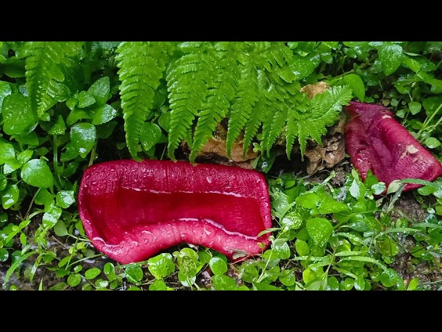 Instant Peace of Mind, Water Sounds & Relaxing Music, Anxiety Relief
