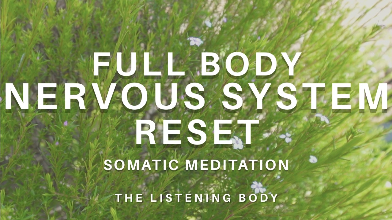 Full Body Nervous System Reset | For When Your Whole Body Is Holding The Stress
