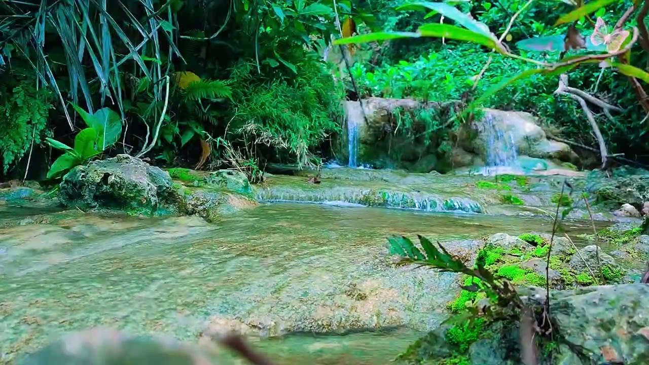 Relaxing Spa Music • Gentle Sounds of Water 🌳 Relieves Stress and Anxiety,peaceful focus 5