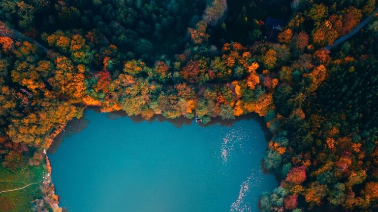 Relaxation Music YouTube video thumbnail