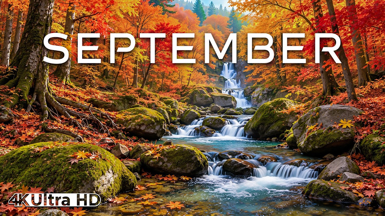 Peaceful Autumn Healing Music 🌿 Gentle Piano Melodies to Calm the Mind, Ease Stress & Relax the Soul