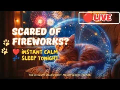 🔴 LIVE Sleep Music for Cats 🎆 Fireworks Noise Anxiety, Healing Music & Purring