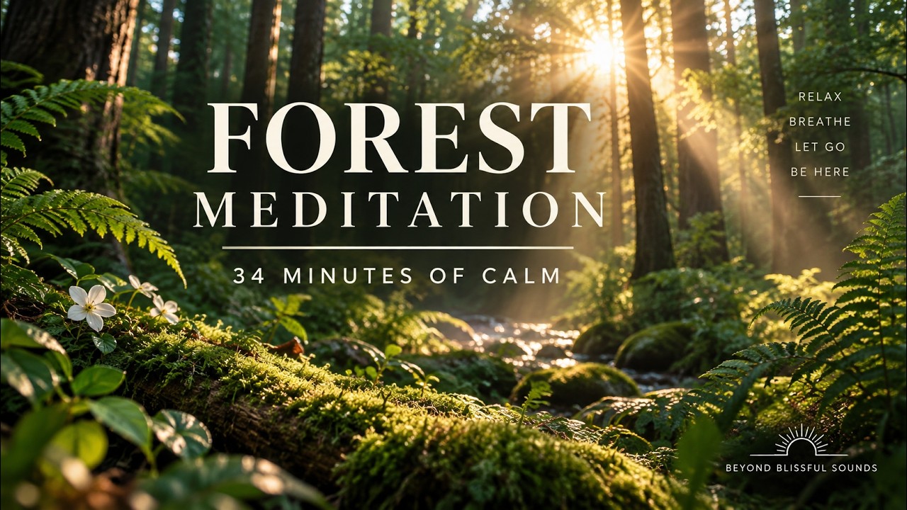 Forest Meditation Music 🌿 | Relax, Breathe & Let Go | 34 Minutes of Calm