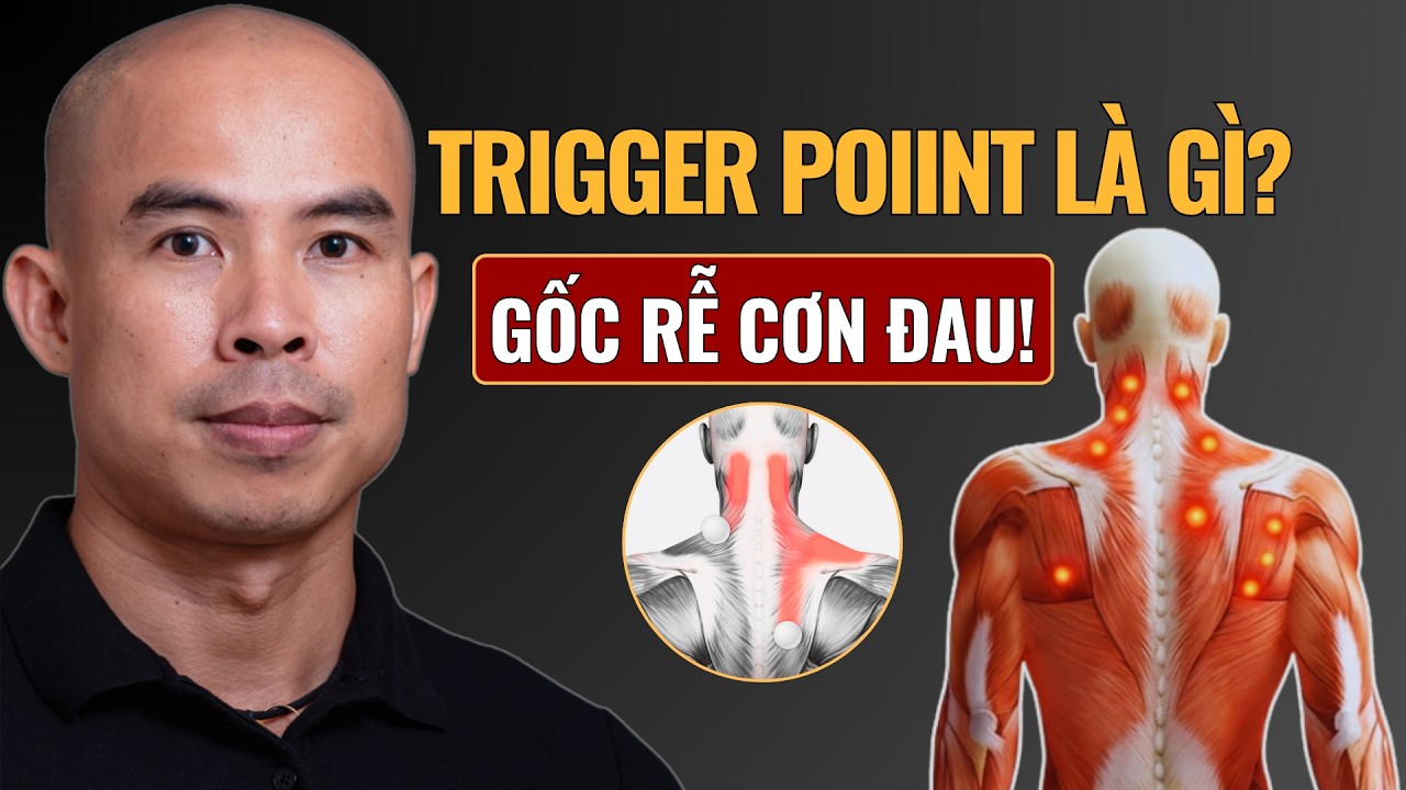 Trigger Point Là Gì? Bí Quyết Xóa Bỏ Điểm Thắt Cơ Tầng Sâu | Ngan Triggerpoint