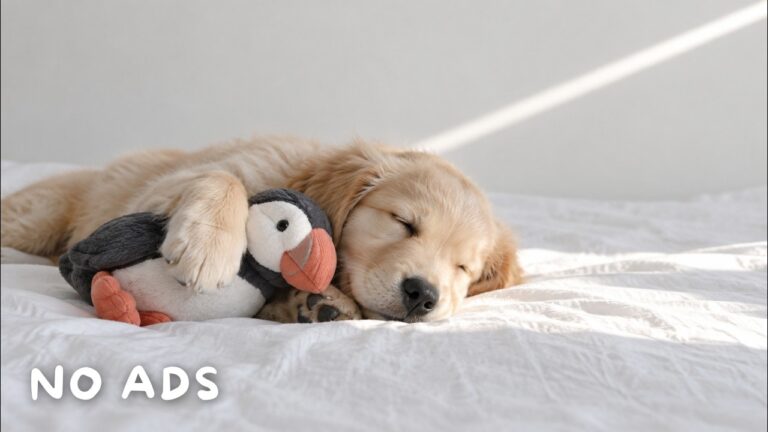Sleep Music YouTube video thumbnail