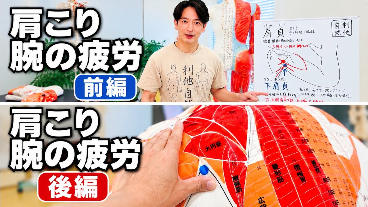 【施術おすすめツボ】下肩貞① 肩コリ 腕のだるさ 腰痛 前編 #massage #肩こり