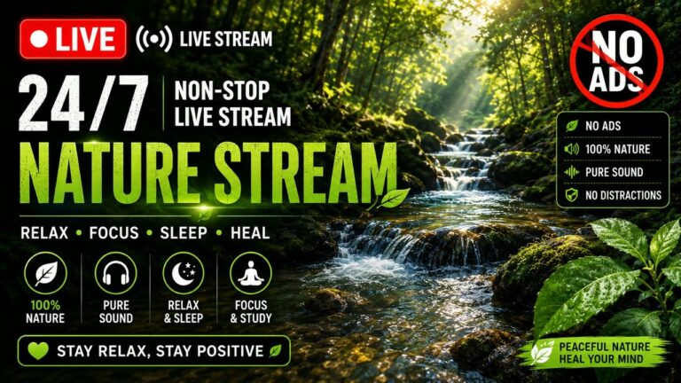 Relaxation Music YouTube video thumbnail
