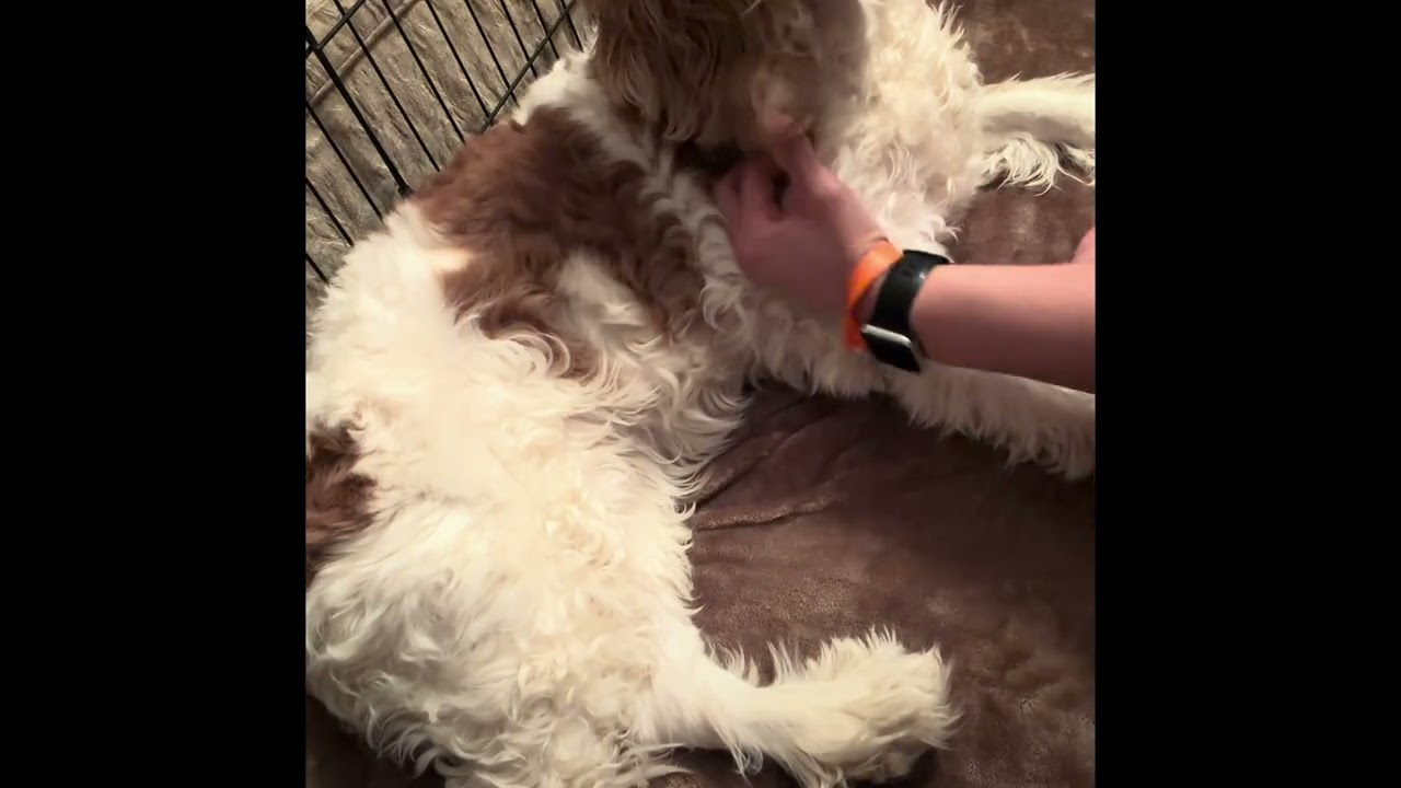 Myofascial Release