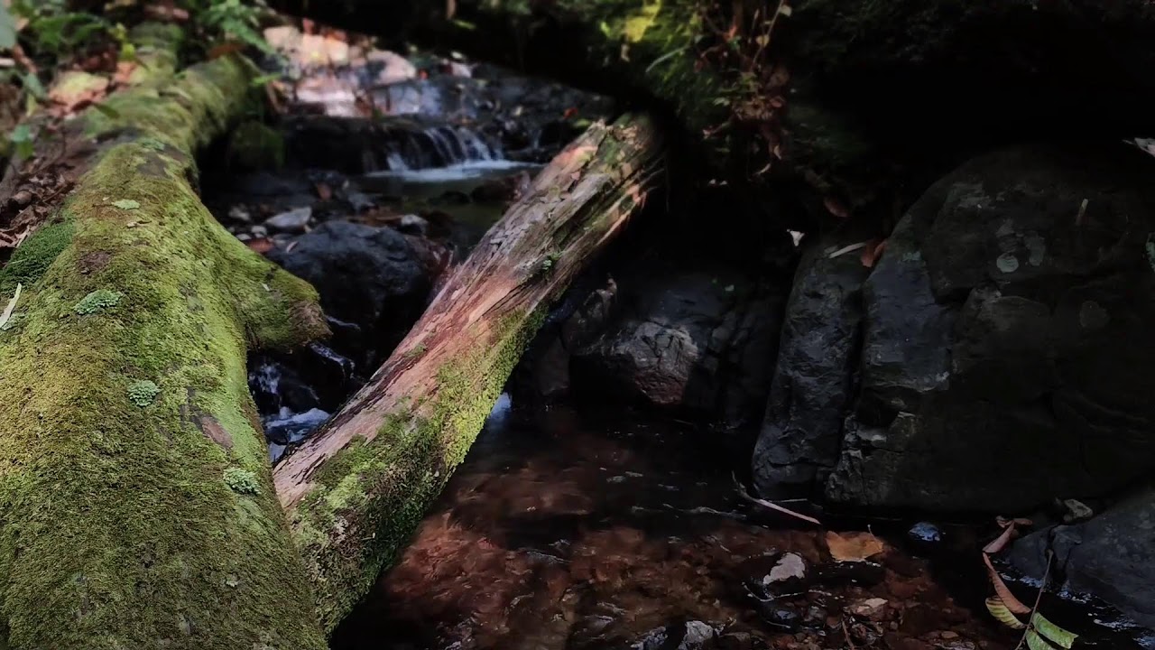 Relaxing Music, Sleep Music, Water Sounds, Meditation Music, Peaceful Piano for Deep Rest
