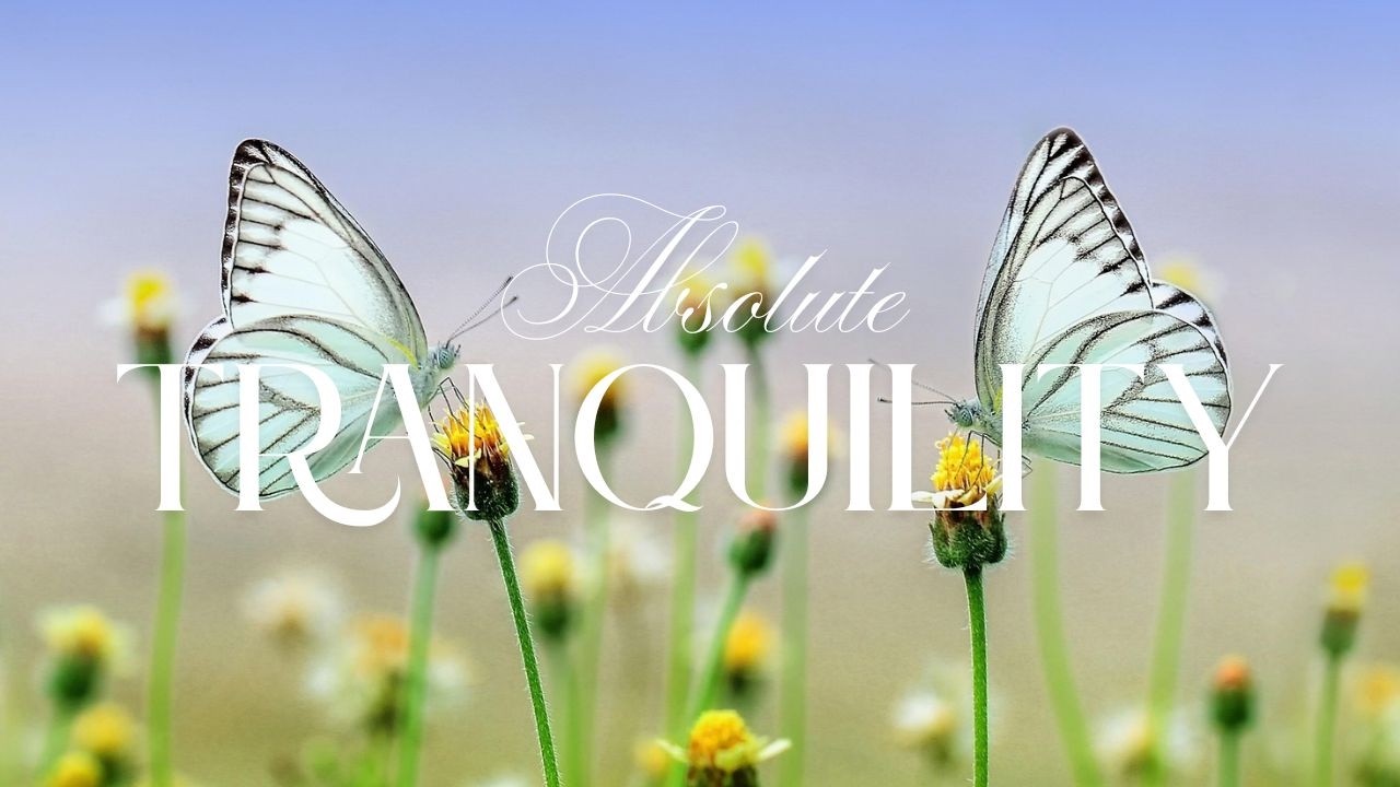 Absolute Tranquility 🦋 🌿 Relaxing Flute Music for Meditation, Sleep, Spa & Deep Relaxation