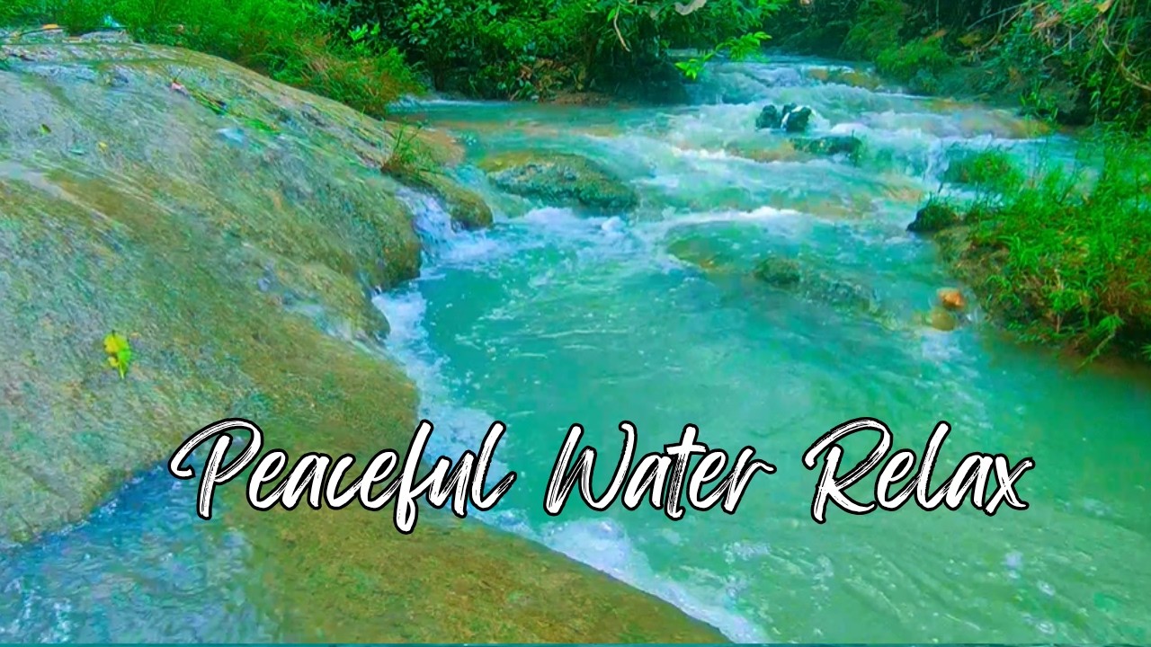 Relaxing Spa Music • Gentle Sounds of Water 🌳 Deep sleep and insomnia support 27