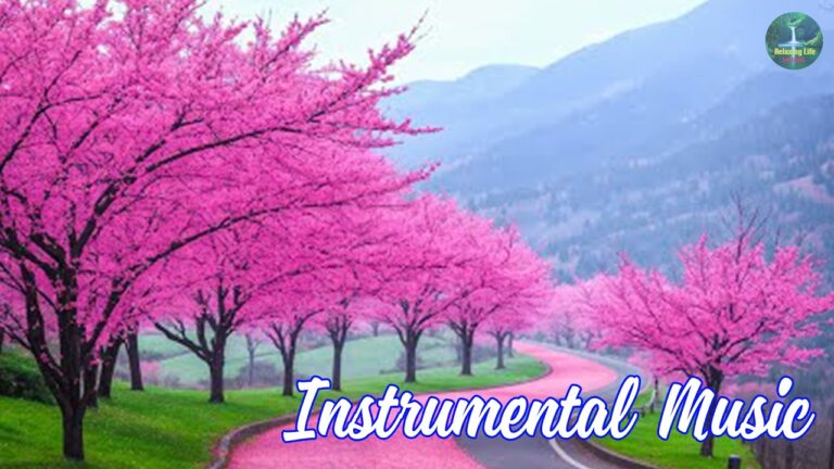 Relaxation Music YouTube video thumbnail