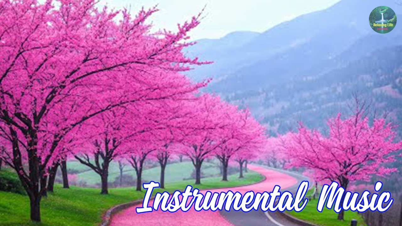 Relaxing Piano Music: Relaxing Music, Spa Music, Yoga Music, Soothing Sleep Music For Life