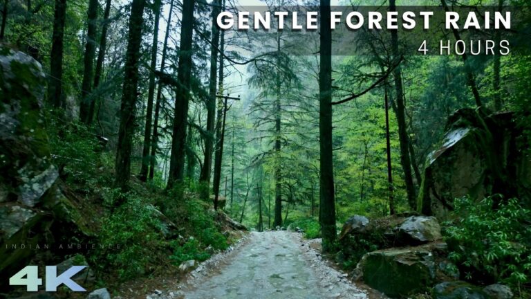 Nature Sounds YouTube video thumbnail