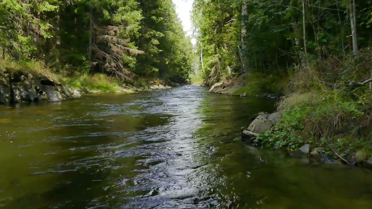 Relaxing Spa Music with Water Sounds & Forest River | 1 Hour for Sleep & Stress Relief