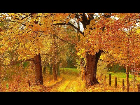 Relaxing Beautiful Music, Peaceful Soothing Instrumental Music, "Autumn Wonder" by Tim Janis