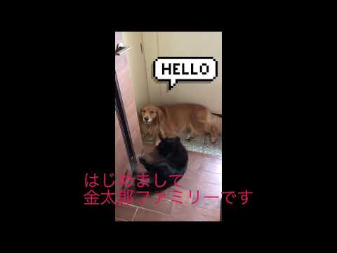 主婦セラピストYouTube始めます！