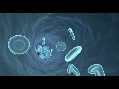リンパ球のための振動