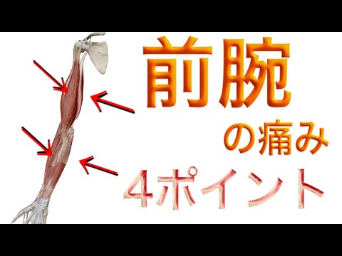 【腕の痛み】仕事で腕が痛いときに考えるべき原因4選 【熊谷市 整体院枇杷-Biwa-】