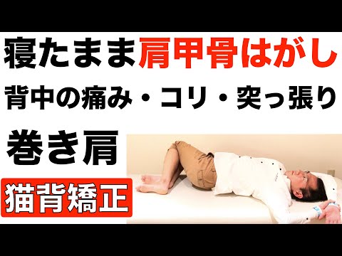 【肩こり】寝たまま「肩甲骨はがし」背中の痛み・肩甲骨内側のコリ・突っ張りに効果絶大！巻き肩・猫背矯正にも使えるラクちん体操