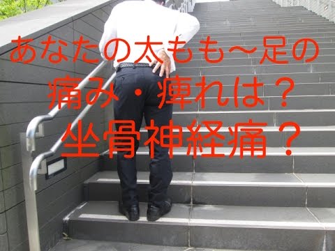 あなたの太もも〜足の痛み・痺れは？坐骨神経痛？