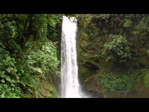 Dan Gibson-Heart Of The Forest