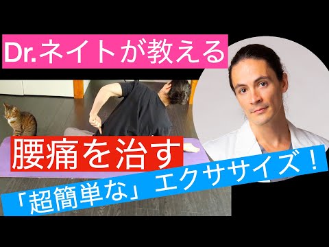 え？これだけ？腰痛改善の超簡単エクササイズを紹介します😀　By Dr.ネイト