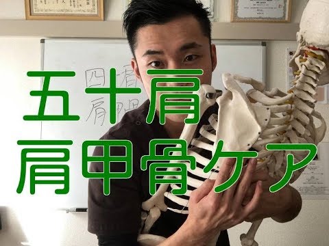 四十肩・五十肩の痛み改善！肩甲骨ケア！
